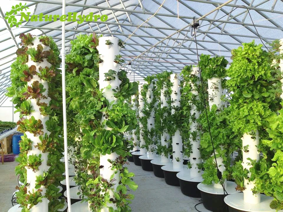 Vertical Farming Aeroponic Tower Garden For Strawberry Buy Aeroponic Vertical Toweraeroponic 8264