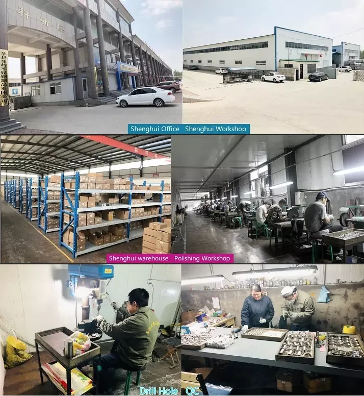 paste-pic-dp_uuid_fdvja