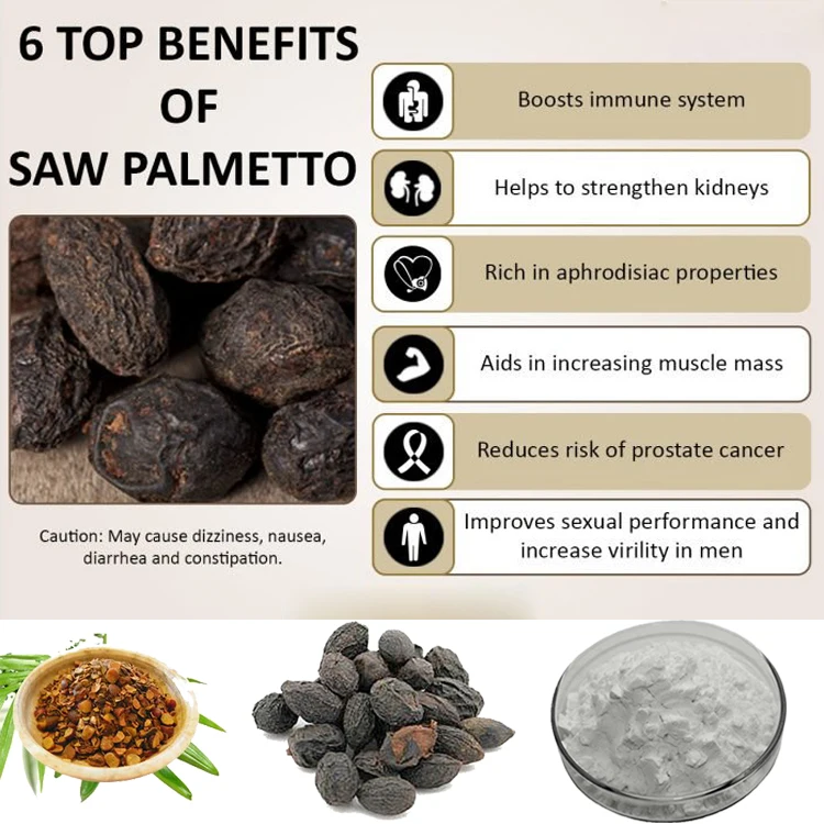Palmetto-Saw.jpg