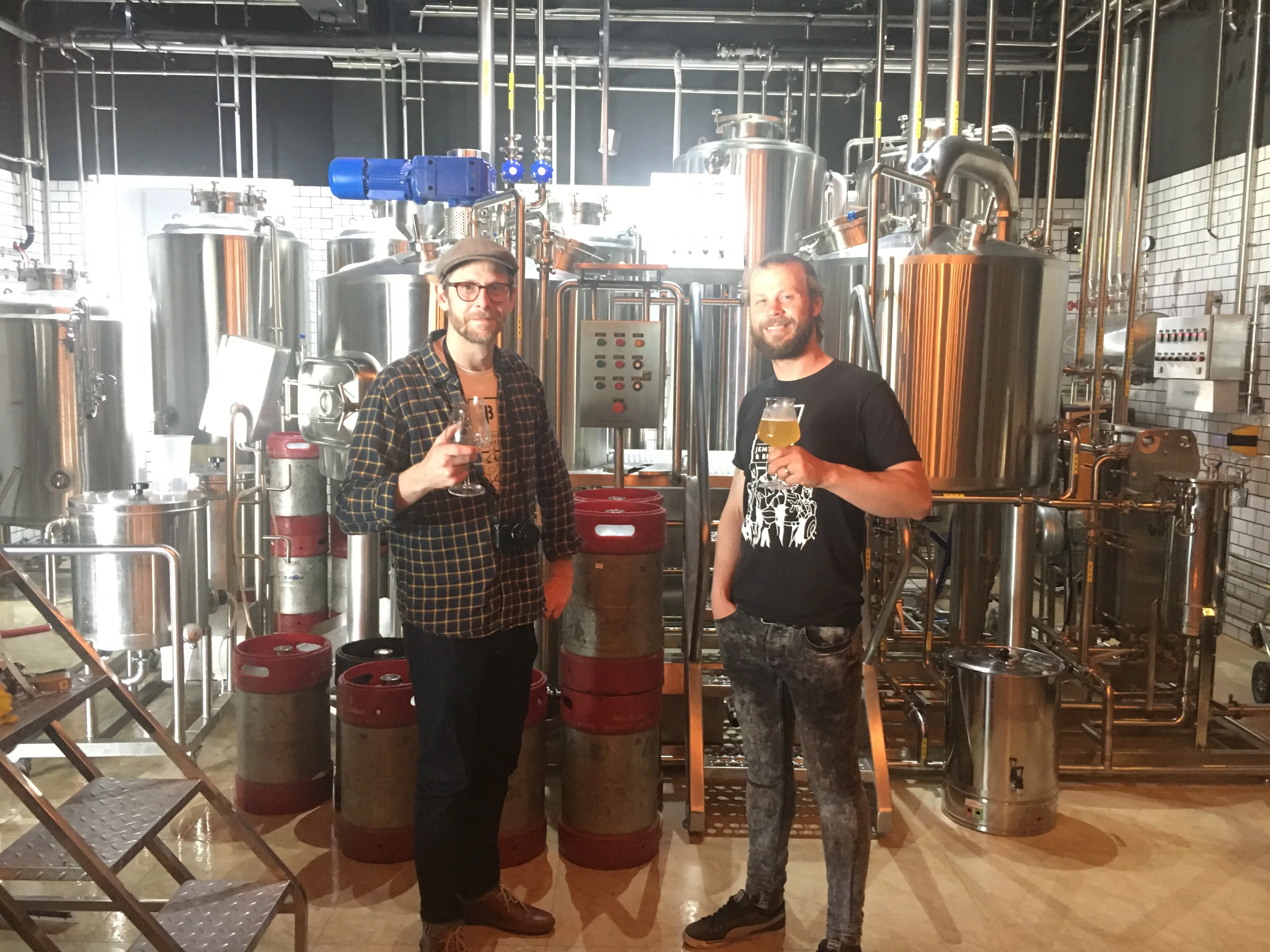 Micro Beer Brewing Machine,500l Pub Beer Equipment,Equipment Brewery Mini