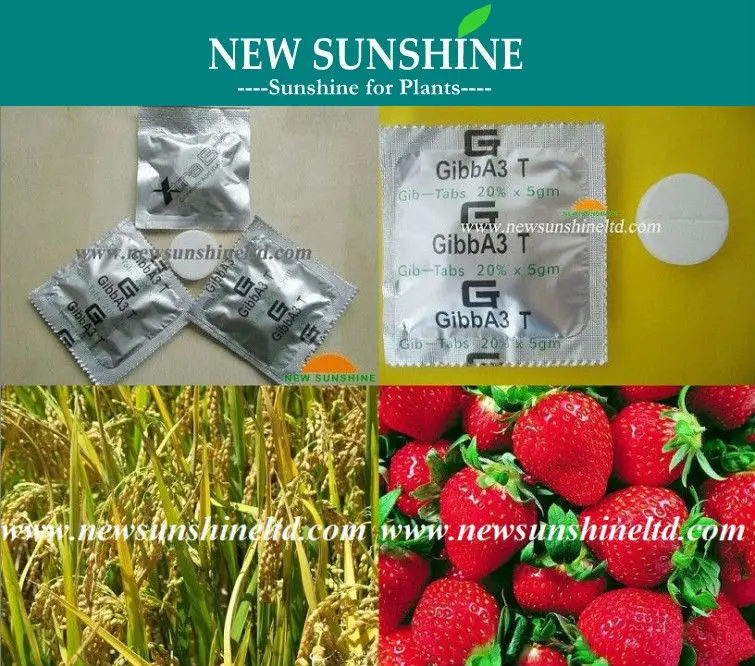 GA3 5 gram 20% tablet.jpg