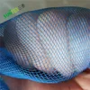 2m width HDPE Insect Mesh Anti-Insect Netting For Agricultural screen, plastic prevent fly mesh screen fruit tree cover 100gsm