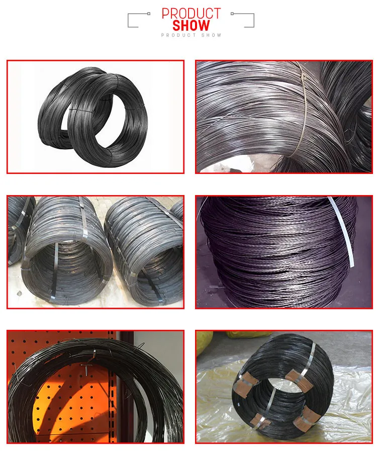 product show.jpg