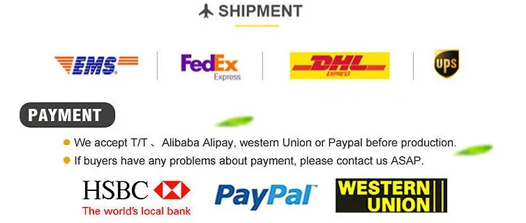 paste-pic-dp_uuid_noiay