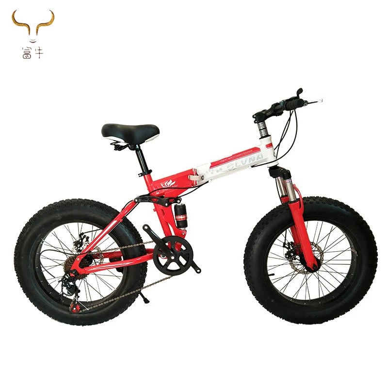 buy fat tire bike