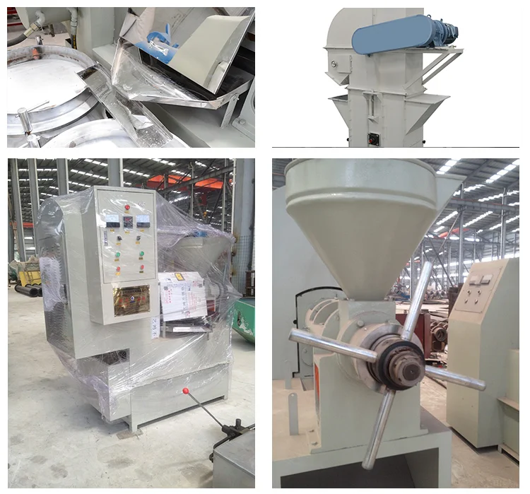 Stainless Steel Automatic Shea Butter Oil Extraction Machinery For Sale