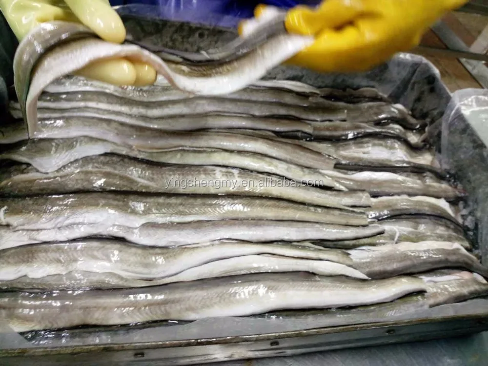 Frozen Fish Fillet Conger Eel Buy Live Eel,Live Fish For Sale,Frozen