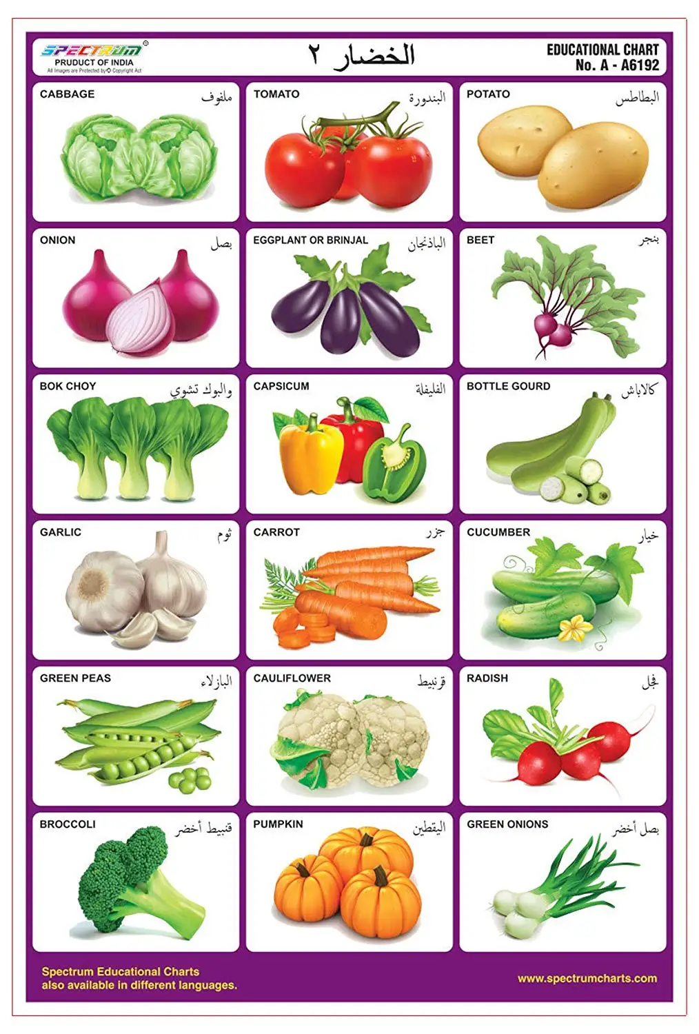 Buy Spectrum Arabic Language Vegetables-2 Laminated Wall Chart Pre