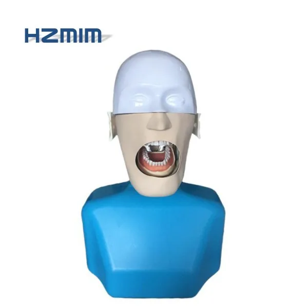 dental manikin 1.jpg