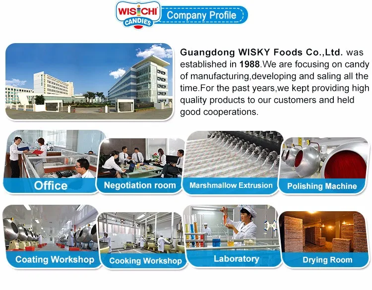 OEM bulk 5g halal jelly filled marshmallow sweet multi color candy manufacturers