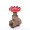 /product-detail/chinese-factory-forging-brass-stem-gate-valve-62117580784.html