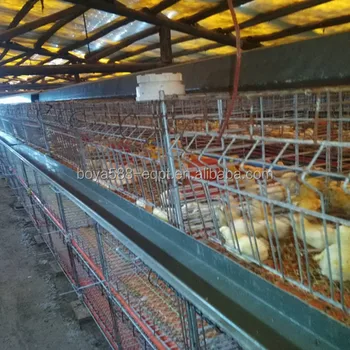 En Gros Cage à Oiseaux Potable Et Alimentation Pour Poulet Et Caille Buy Cages Délevage Doiseaux En Groscages à Oiseaux à Vendre Pas Chercages