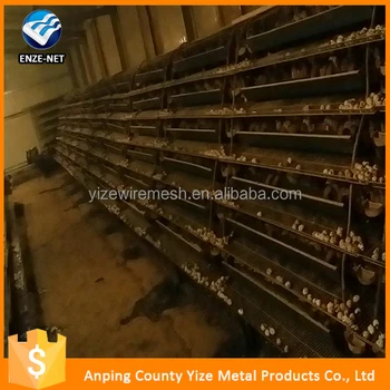 Quail Cagequail Cages For Salequail Layer Cages Factorychina Buy Quail Cagequail Cages For Salequail Layer Cages Product On Alibabacom