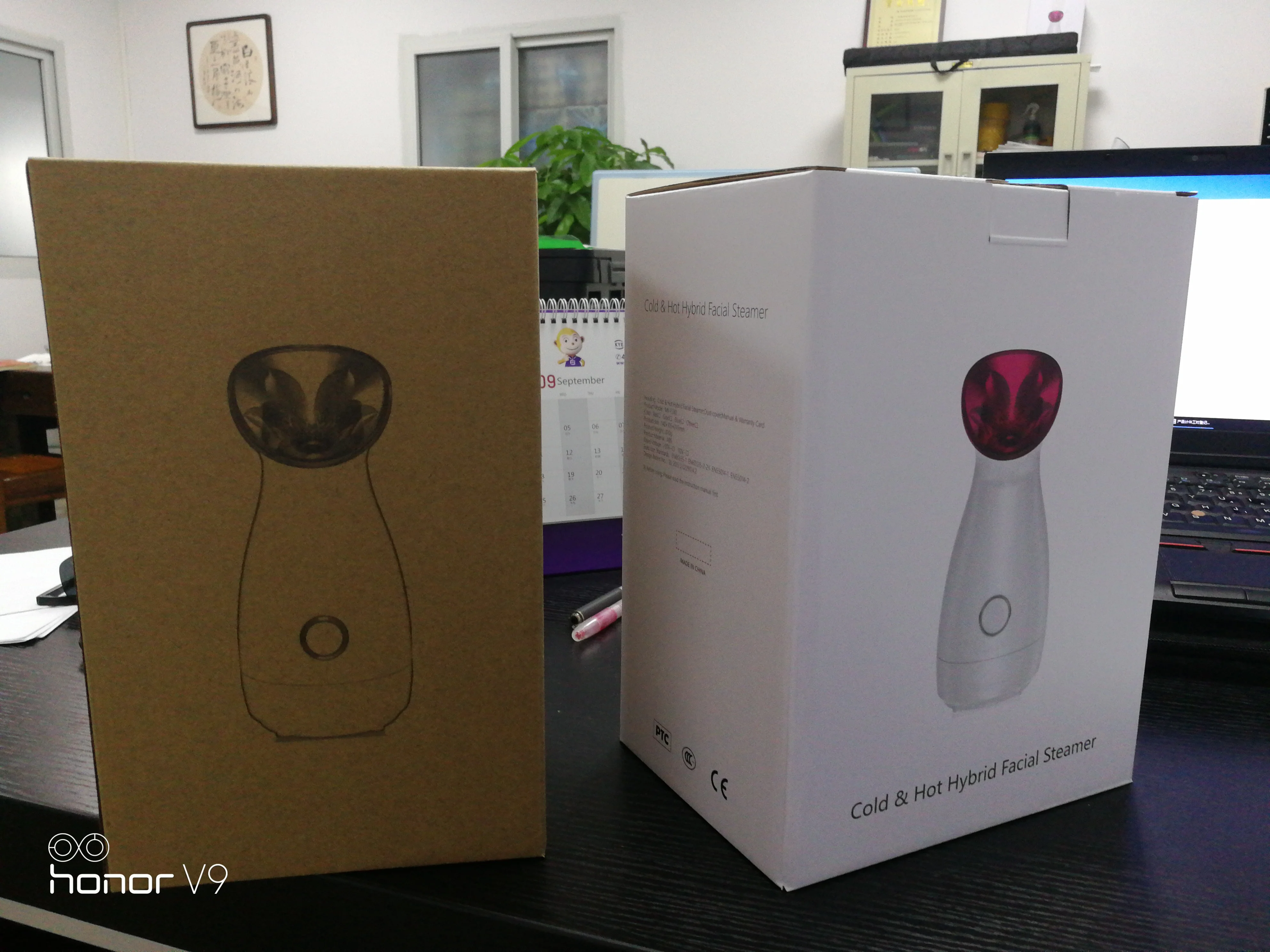 纳米离子面部蒸笼温暖喷雾加湿器雾化器加湿器保湿面部 spa 蒸笼