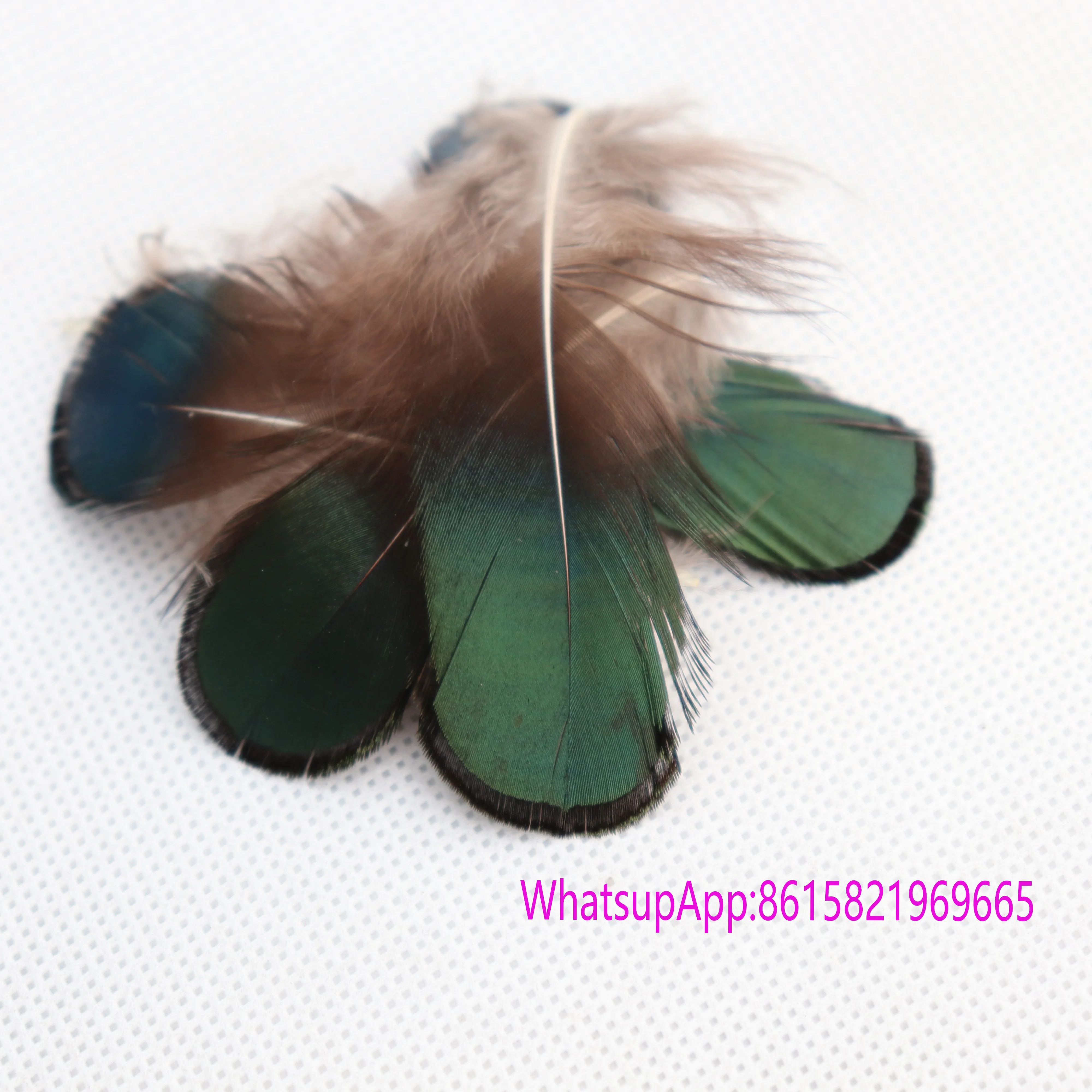 
Cheap Pheasant Feather Peacock Head Feather 