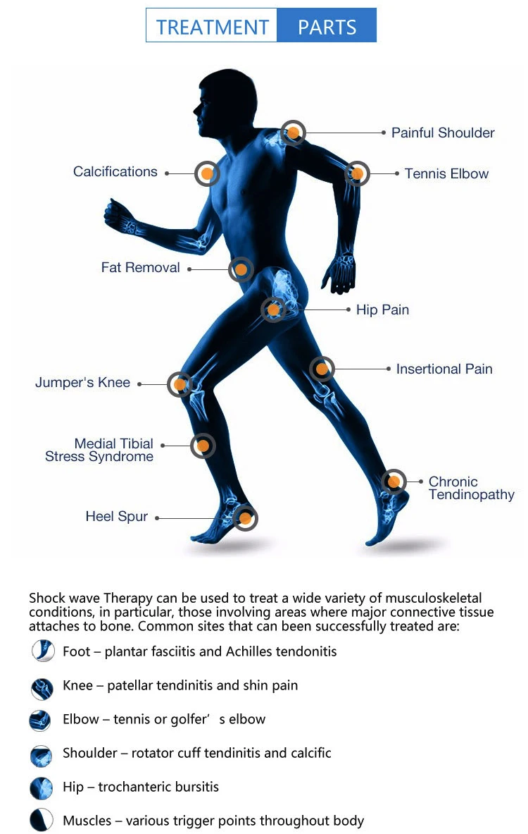 Newest extracorporeal shock body wave therapy / beauty equipments shock body wave / shock body wave therapy equipment