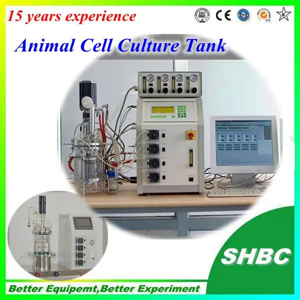 animal cell culture03.jpg