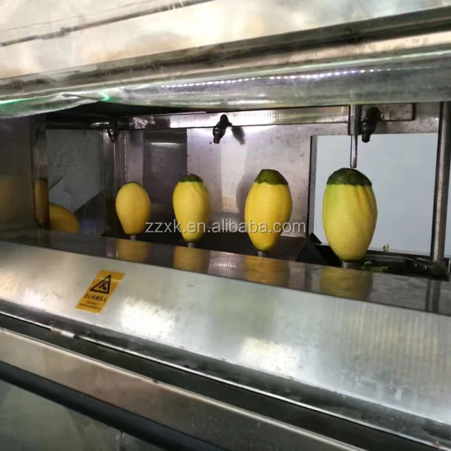 vendor commercial mango peeler booth