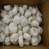 /product-detail/white-garlic-60521100066.html
