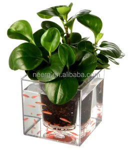 Image of Crystal Cube Self-wating Clear Flower Pot Fish Tank