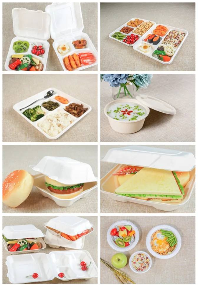 biodegradable eco take out lunch box