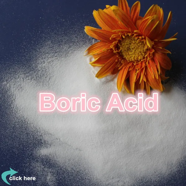 boric acid powder.jpg