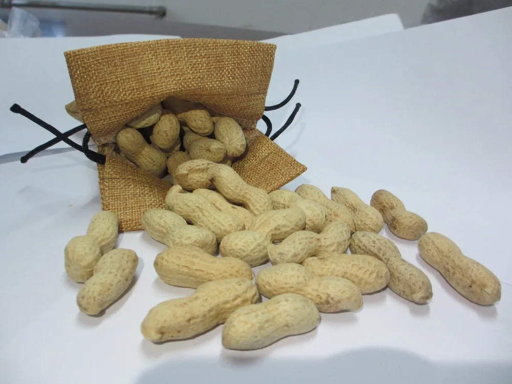 Good Price Good Quality Raw Peanut With Shell Raw Peanuts For Sale