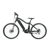 Snow Fat Tyre Ebike 48v 750w E Design E-bike Sg Ce En15194 New Electric Bike
