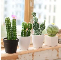 

Popular europe simple style faux mini potted plants artificial cactus and succulent in pots