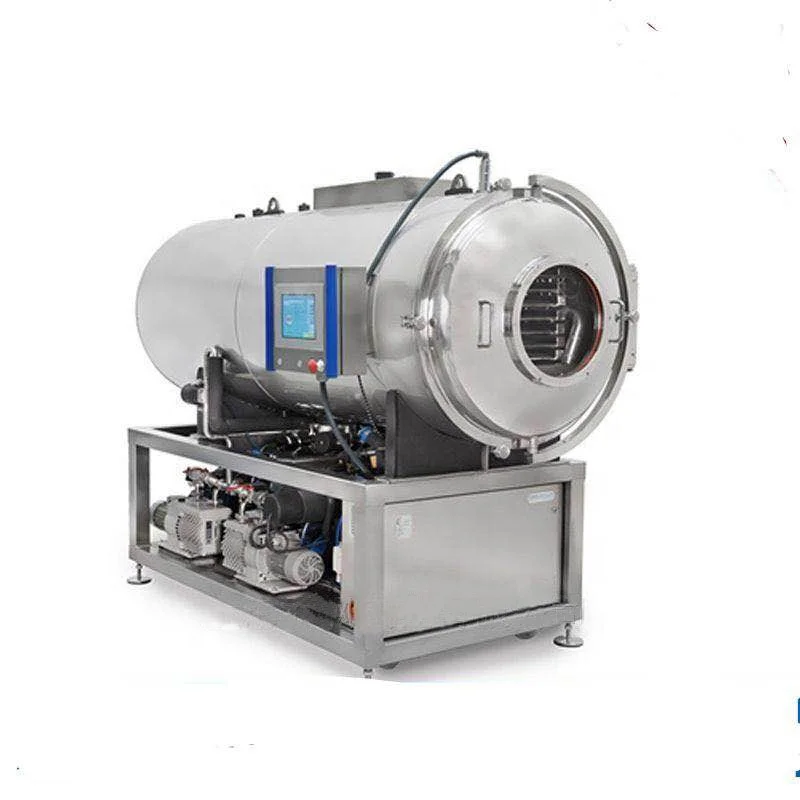
Food Vacuum Dehydrator 1 to 200m2 Industrial Freeze Dryer Price for Food Freeze Drying Process 