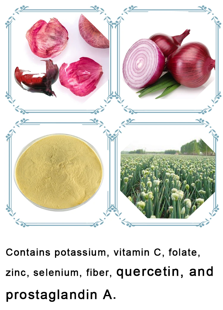 Hongda Supply 5 20 40 Quercetin Powder Onion Powder Onion Extract