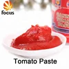 Hot sale canned tomato paste tin chinese processing plant