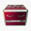 pro artist eyelash cosmetics makeup train case small
