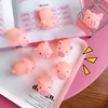 Cartoon soft cute pink piglet toy Give vent to the whole thing A funny toy made by pinching