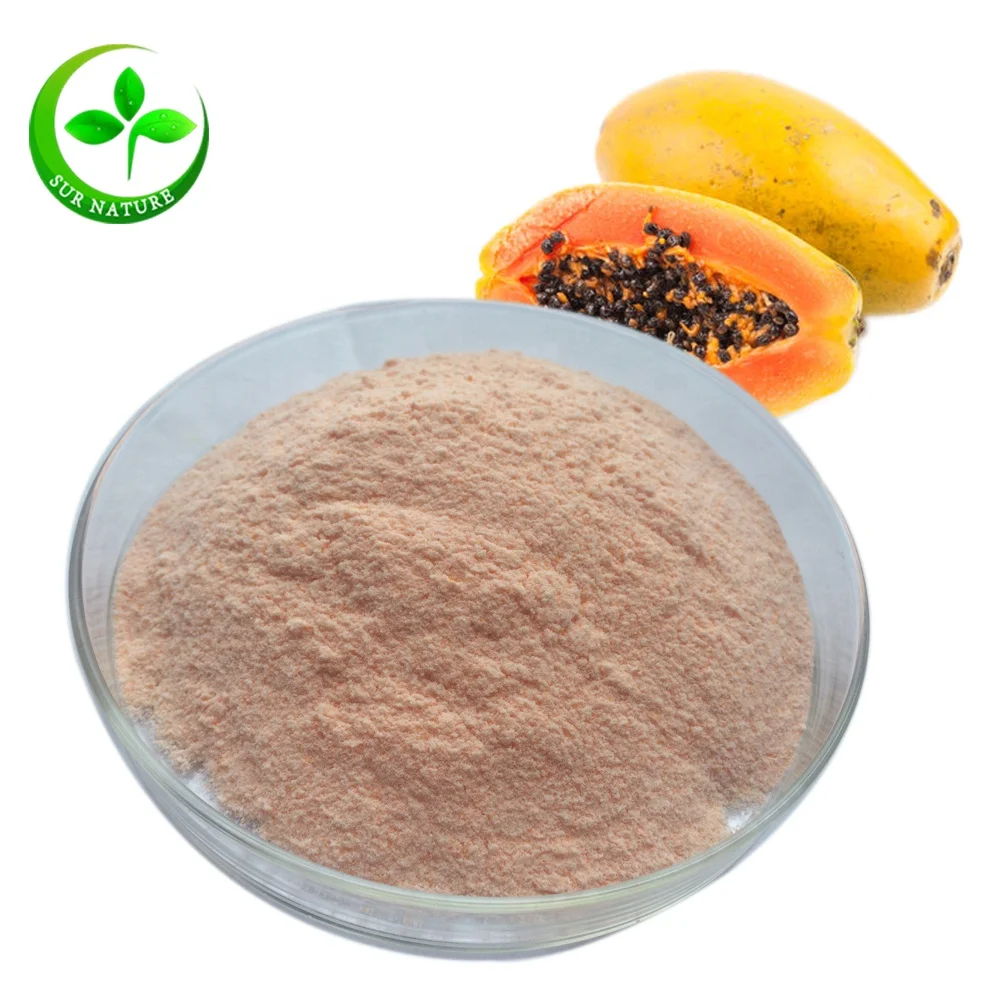 100 Natural Organic Freeze Dried Fermented Papaya Powder,Green Papaya