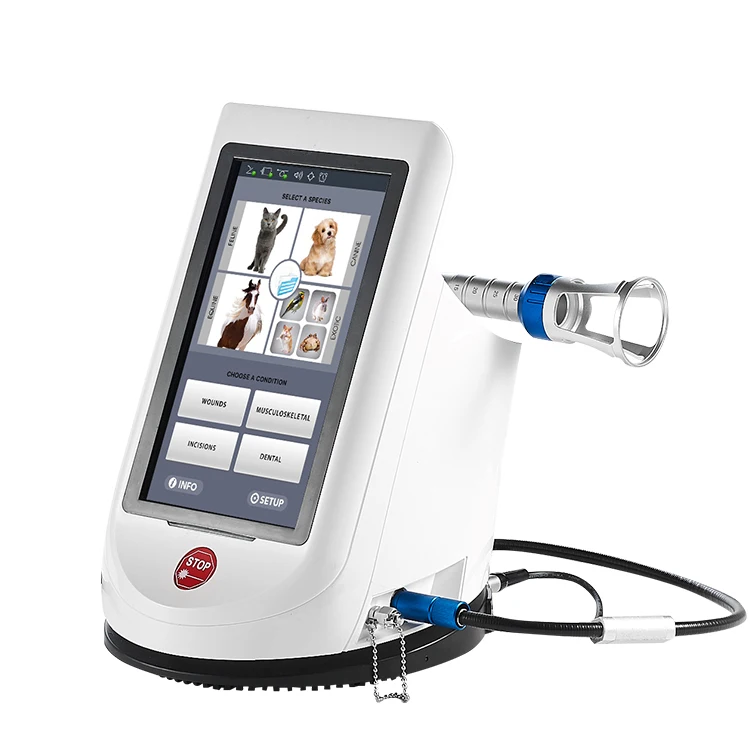 Pet leg pain Laser muscle treatment veterinary surgical laser