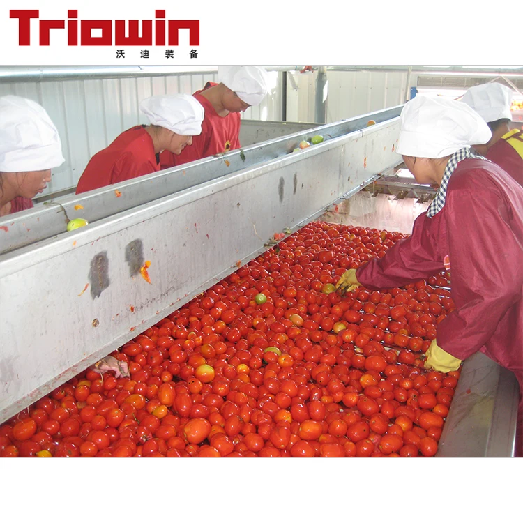 tomato paste production line automatic