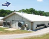 Poultry farm building business house plan in china