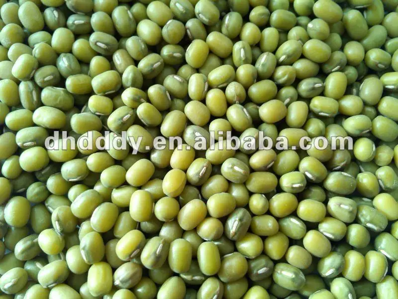 mung bean.JPG