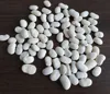 white kidney beans light speckled kidney bean big full good quality