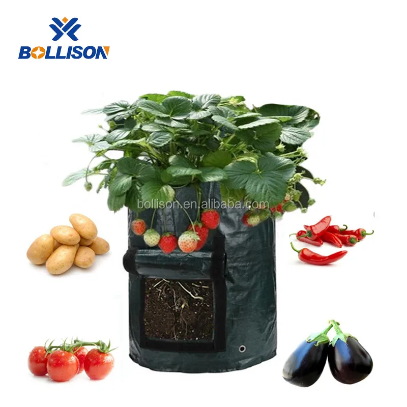 1pc Potato Grow Bag 10 Gallon 1 Twin Pack Planter 45cmH x 35cmD Green Tomato 