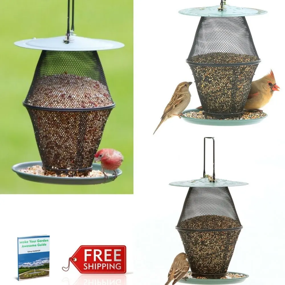 Buy Metal Wild Bird Feeders Peacock Standing Decorative Metal Bird