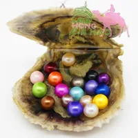 

2018 cheapest Bulk Wholesale vacuum packed oyster 6-8pcs pearl Akoya pearl oyster with pearl zhuji pearls stock