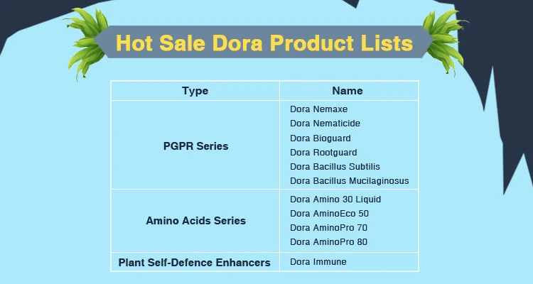 product lists
