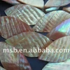 leaf-shaped iridescent freshwater mother of pearl shell for furniture inlay