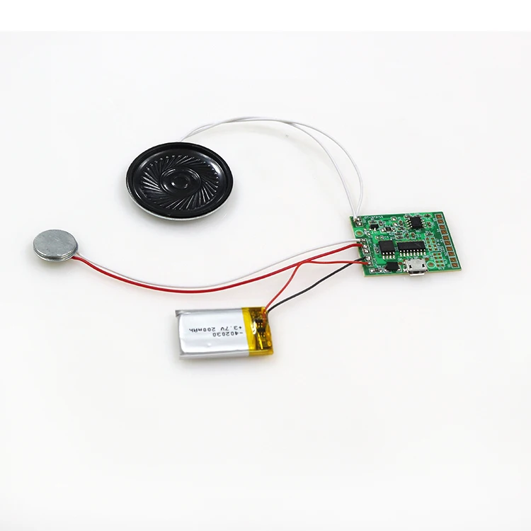 Motion Sensor Recordable Sound Module Voice Box Buy Motion Sensor