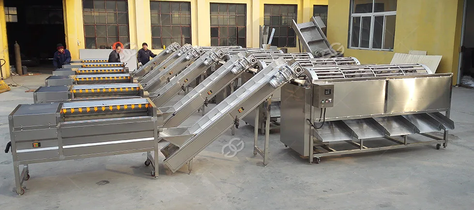 Lemon Sorting Machine