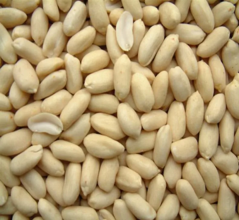 raw peanuts kernel Top quality 100% natural raw  white skin skinless peanut