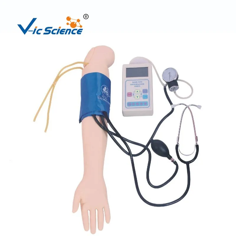 Advanced Pvc Blood Pressure Simulated Right Hand Training Arm Model For