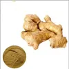 Free samples Ginger extract 10% 15% 20% Gingerols with best price and fast delivery.
